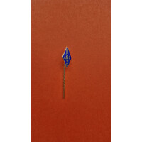 DARC Anstecknadel gallery
